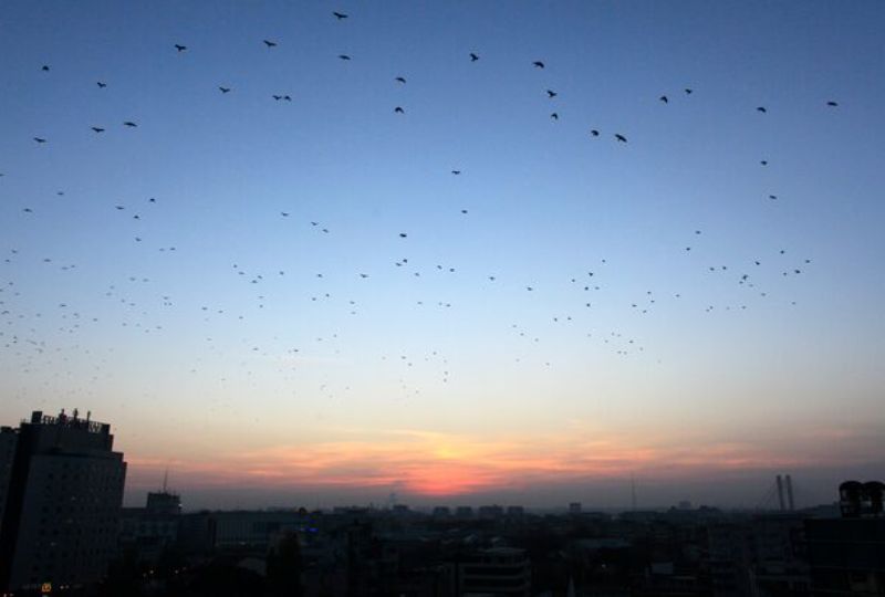World News: Romanian radar detects likely drone breaching territory, ministry says